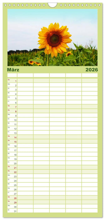 Sonnenblumen - die Blumen der Lebensfreude (CALVENDO Familienplaner 2026)