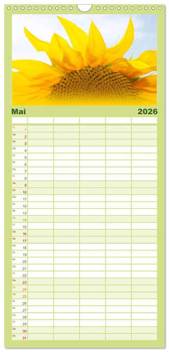 Sonnenblumen - die Blumen der Lebensfreude (CALVENDO Familienplaner 2026)