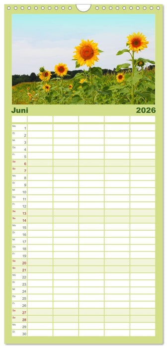 Sonnenblumen - die Blumen der Lebensfreude (CALVENDO Familienplaner 2026)