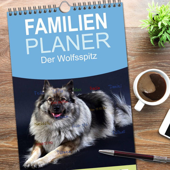 Der Wolfsspitz (CALVENDO Familienplaner 2026)