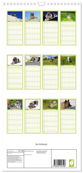 Der Wolfsspitz (CALVENDO Familienplaner 2026)