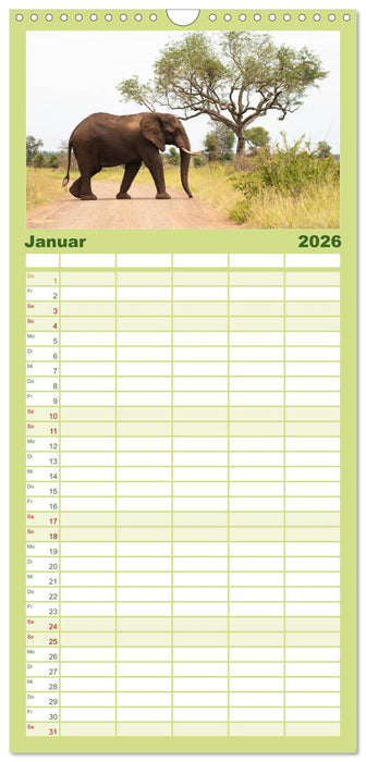 Tierische Glücksmomente (CALVENDO Familienplaner 2026)