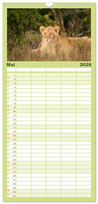 Tierische Glücksmomente (CALVENDO Familienplaner 2026)