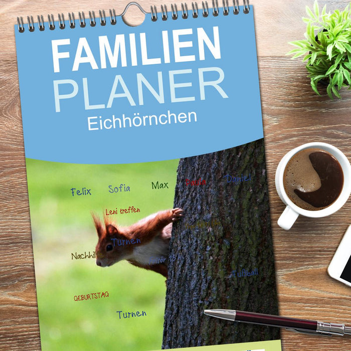 Eichhörnchen (CALVENDO Familienplaner 2026)