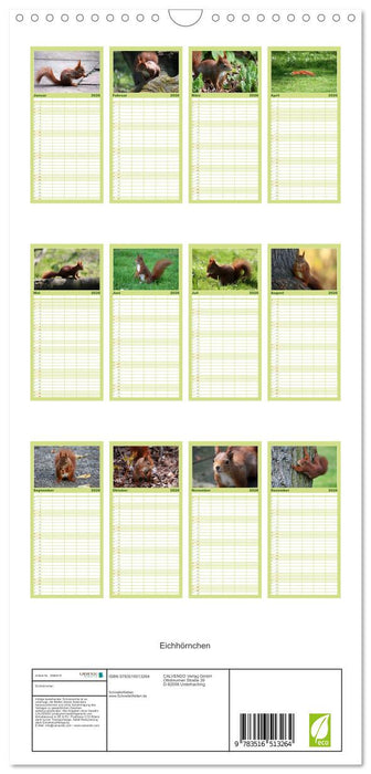 Eichhörnchen (CALVENDO Familienplaner 2026)