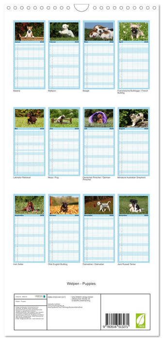 Welpen - Puppies (CALVENDO Familienplaner 2026)