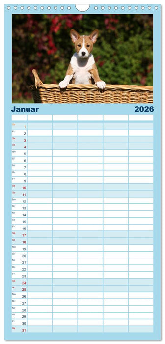 Welpen - Puppies (CALVENDO Familienplaner 2026)