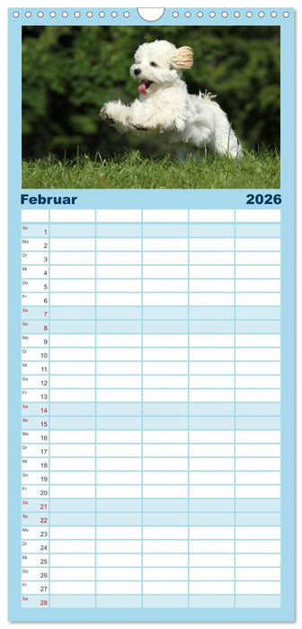 Welpen - Puppies (CALVENDO Familienplaner 2026)