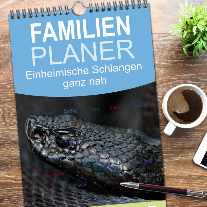 Einheimische Schlangen ganz nah (CALVENDO Familienplaner 2026)
