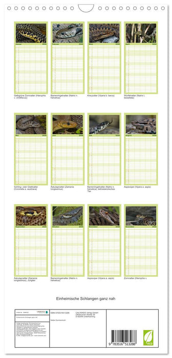 Einheimische Schlangen ganz nah (CALVENDO Familienplaner 2026)