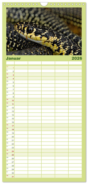 Einheimische Schlangen ganz nah (CALVENDO Familienplaner 2026)