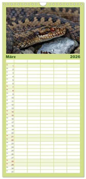 Einheimische Schlangen ganz nah (CALVENDO Familienplaner 2026)