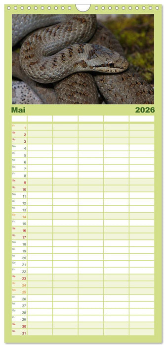 Einheimische Schlangen ganz nah (CALVENDO Familienplaner 2026)