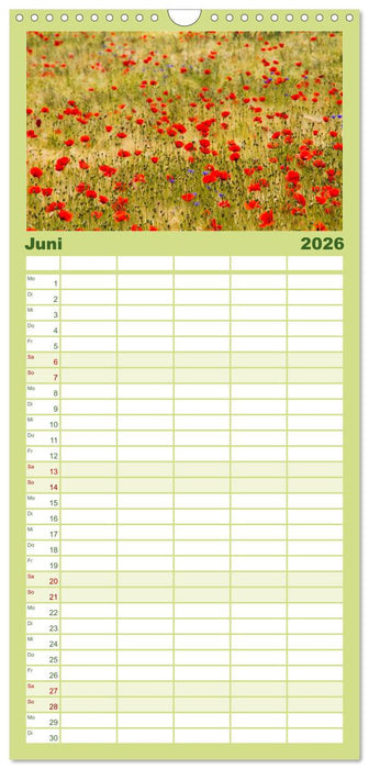 Die Insel Usedom in Bildern (CALVENDO Familienplaner 2026)