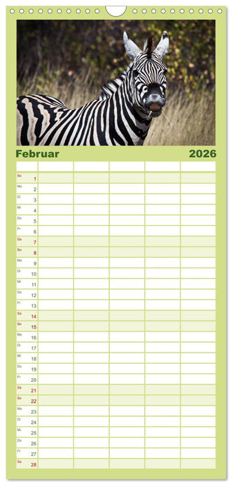 Afrika Impressionen. NAMIBIA - SÜDAFRIKA - BOTSWANA (CALVENDO Familienplaner 2026)