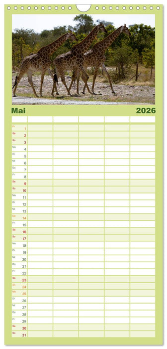 Afrika Impressionen. NAMIBIA - SÜDAFRIKA - BOTSWANA (CALVENDO Familienplaner 2026)