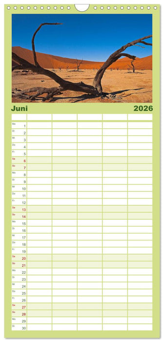 Afrika Impressionen. NAMIBIA - SÜDAFRIKA - BOTSWANA (CALVENDO Familienplaner 2026)