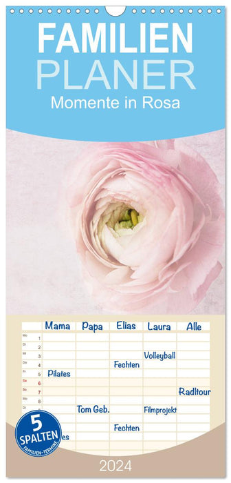 Momente in Rosa (CALVENDO Familienplaner 2026)