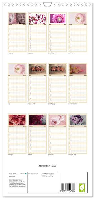 Momente in Rosa (CALVENDO Familienplaner 2026)