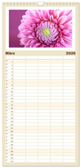 Momente in Rosa (CALVENDO Familienplaner 2026)