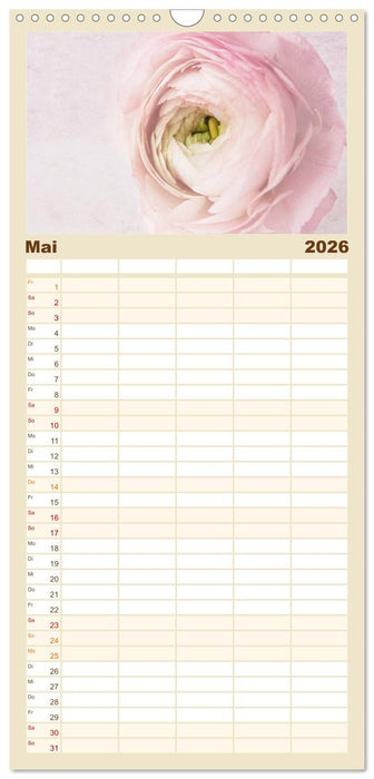 Momente in Rosa (CALVENDO Familienplaner 2026)