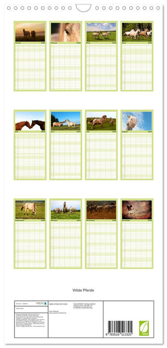 Wilde Pferde (CALVENDO Familienplaner 2026)