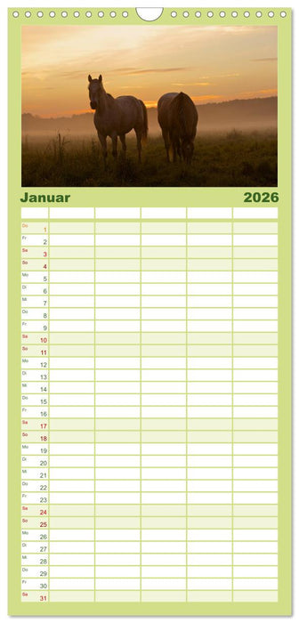 Wilde Pferde (CALVENDO Familienplaner 2026)