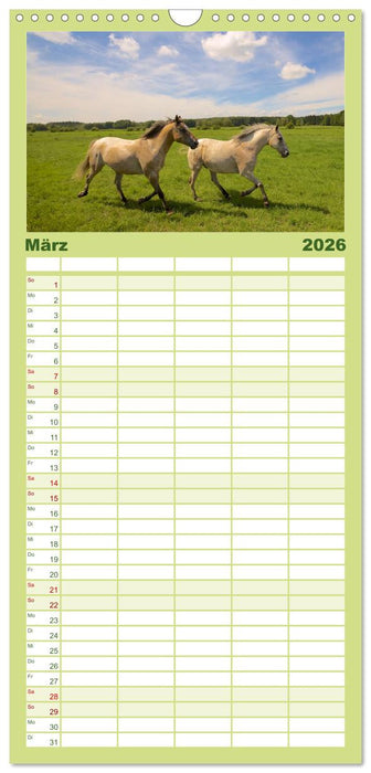 Wilde Pferde (CALVENDO Familienplaner 2026)