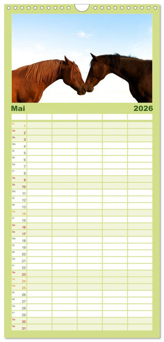 Wilde Pferde (CALVENDO Familienplaner 2026)