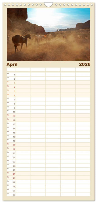 USA - American Beautys (CALVENDO Familienplaner 2026)