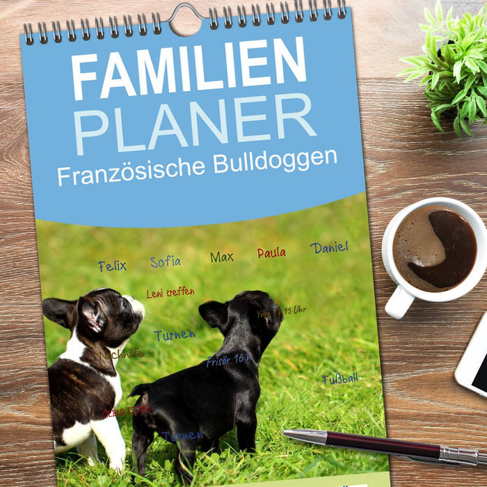 Französische Bulldoggen (CALVENDO Familienplaner 2026)