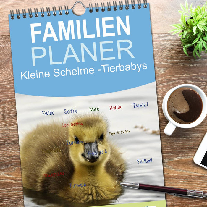 Kleine Schelme - Tierbabys (CALVENDO Familienplaner 2026)