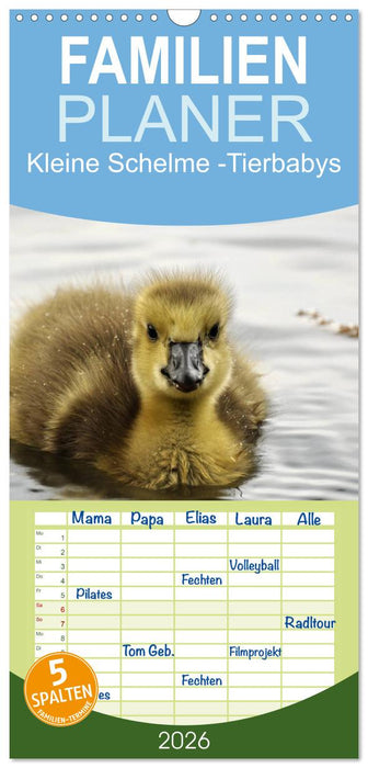 Kleine Schelme - Tierbabys (CALVENDO Familienplaner 2026)