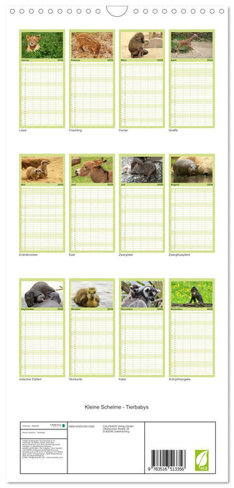 Kleine Schelme - Tierbabys (CALVENDO Familienplaner 2026)