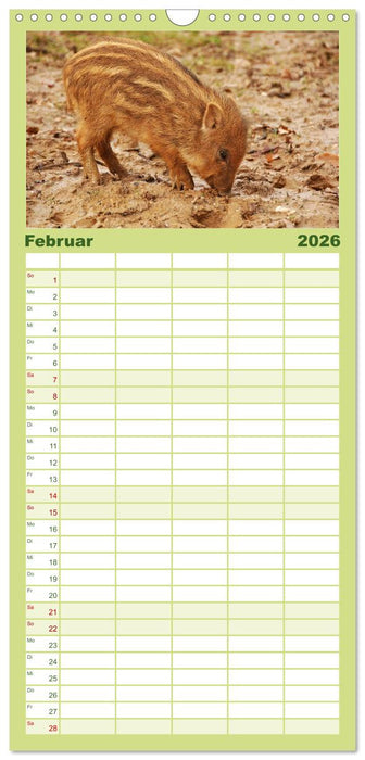 Kleine Schelme - Tierbabys (CALVENDO Familienplaner 2026)