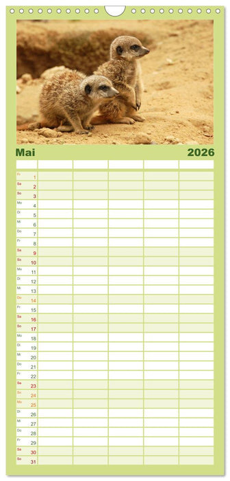 Kleine Schelme - Tierbabys (CALVENDO Familienplaner 2026)