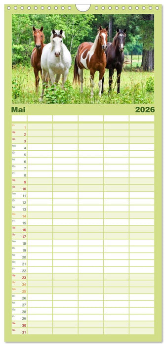 Wilde Pferde • Mustangs in USA (CALVENDO Familienplaner 2026)