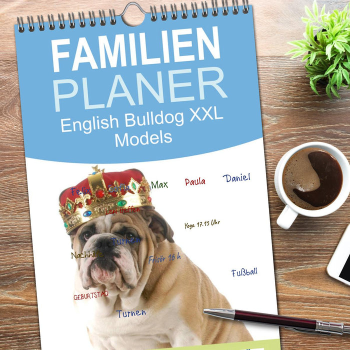 English Bulldog XXL Models (CALVENDO Familienplaner 2026)