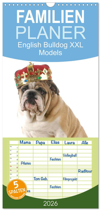 English Bulldog XXL Models (CALVENDO Familienplaner 2026)