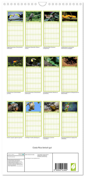 Costa Rica tierisch gut (CALVENDO Familienplaner 2026)