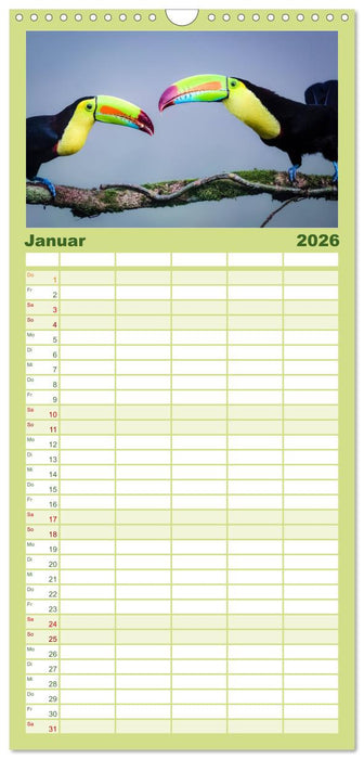 Costa Rica tierisch gut (CALVENDO Familienplaner 2026)