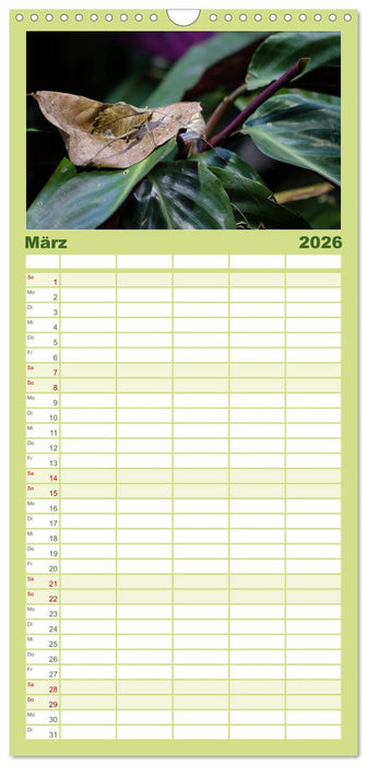 Costa Rica tierisch gut (CALVENDO Familienplaner 2026)