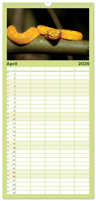 Costa Rica tierisch gut (CALVENDO Familienplaner 2026)