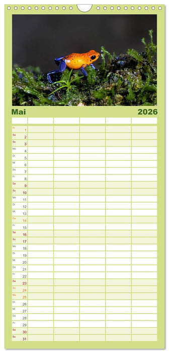 Costa Rica tierisch gut (CALVENDO Familienplaner 2026)