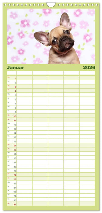 Der Bully - Kalender Familienplaner hoch (CALVENDO Familienplaner 2026)