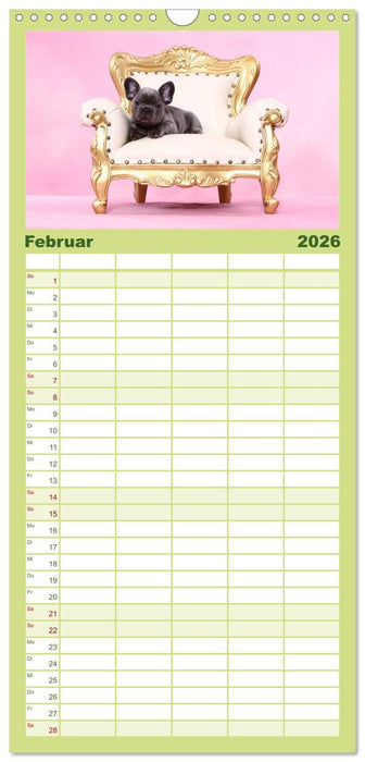 Der Bully - Kalender Familienplaner hoch (CALVENDO Familienplaner 2026)
