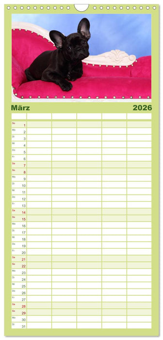 Der Bully - Kalender Familienplaner hoch (CALVENDO Familienplaner 2026)