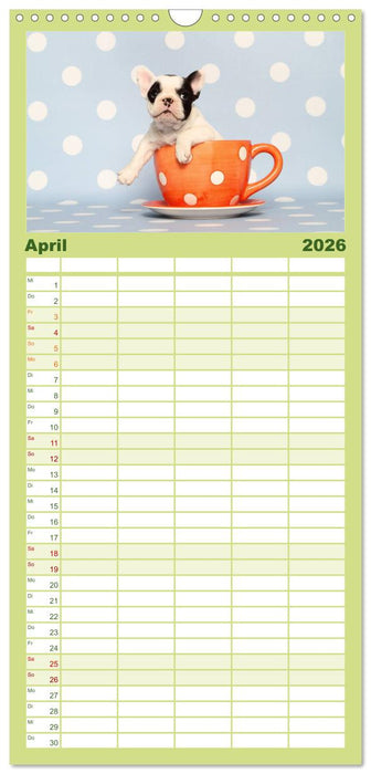 Der Bully - Kalender Familienplaner hoch (CALVENDO Familienplaner 2026)