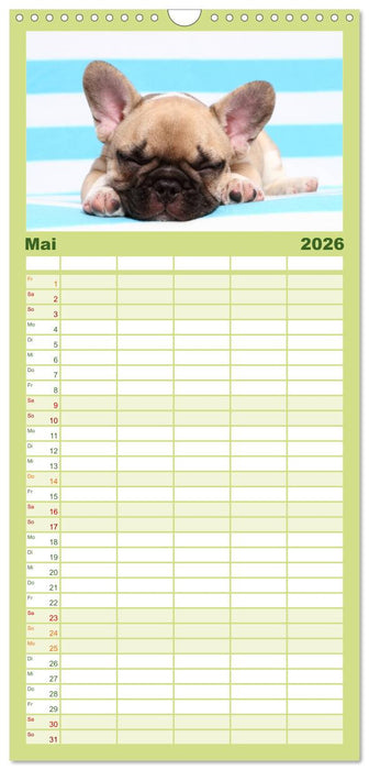 Der Bully - Kalender Familienplaner hoch (CALVENDO Familienplaner 2026)