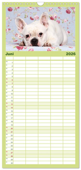 Der Bully - Kalender Familienplaner hoch (CALVENDO Familienplaner 2026)